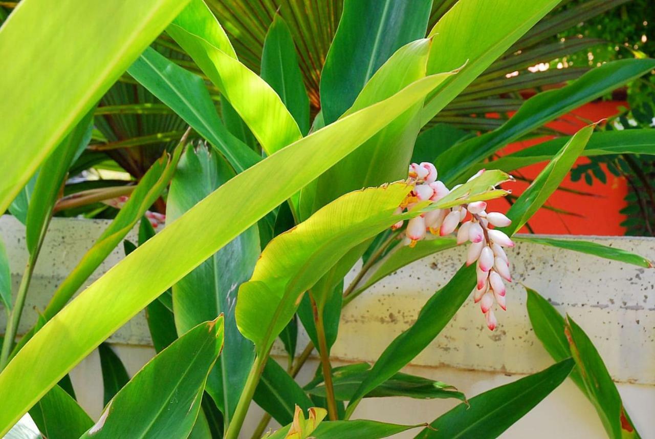 House Sea View Private Garden, 5 People, Optical Fiber Villa Puerto de la Madera ภายนอก รูปภาพ